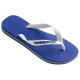 Havaianas Brasil Logo